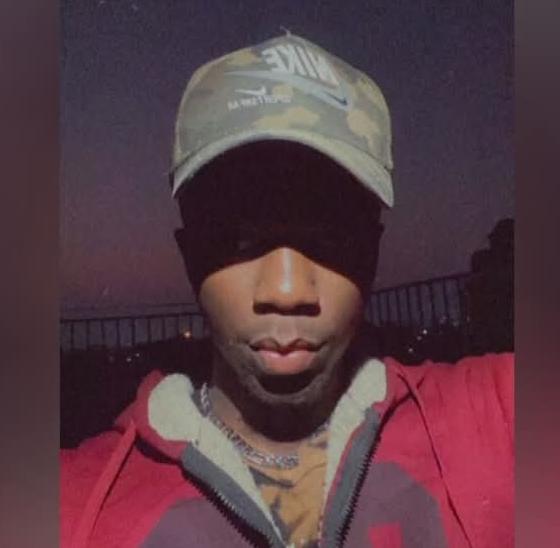 Anesu Praise - Developer